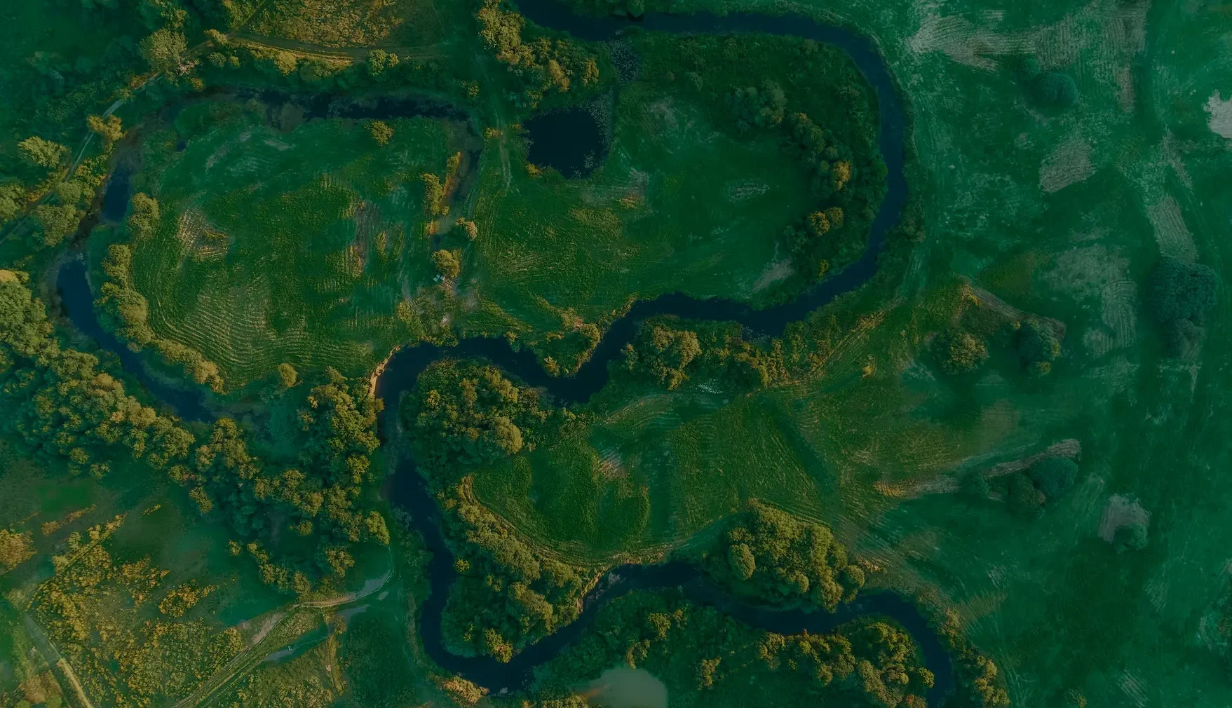 Aerial view of a green landscape