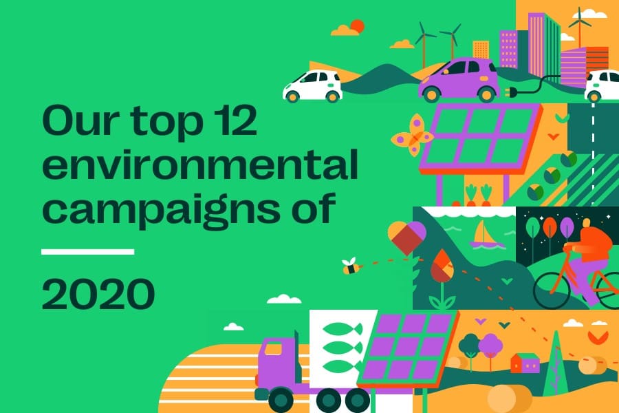 Greenhouse's top 12 environmental campaigns of 2020