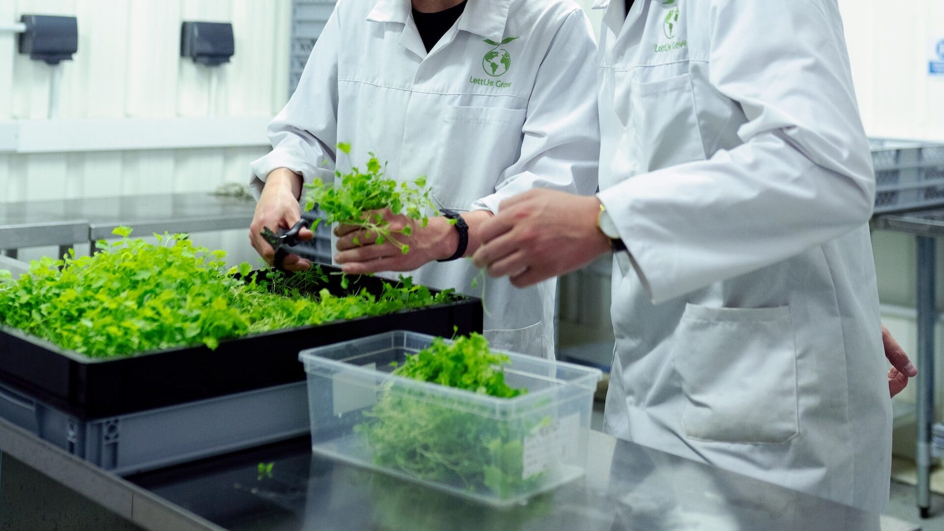 Food scientists' examining food in a lab.