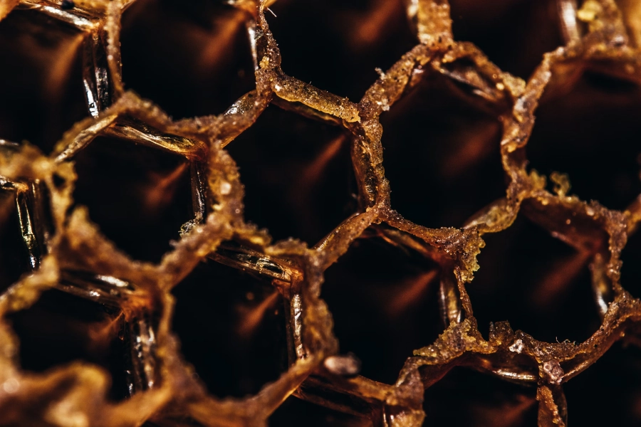 Why you should care about BCorp. Image shows honeycomb.