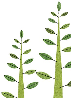 Illustration of trees