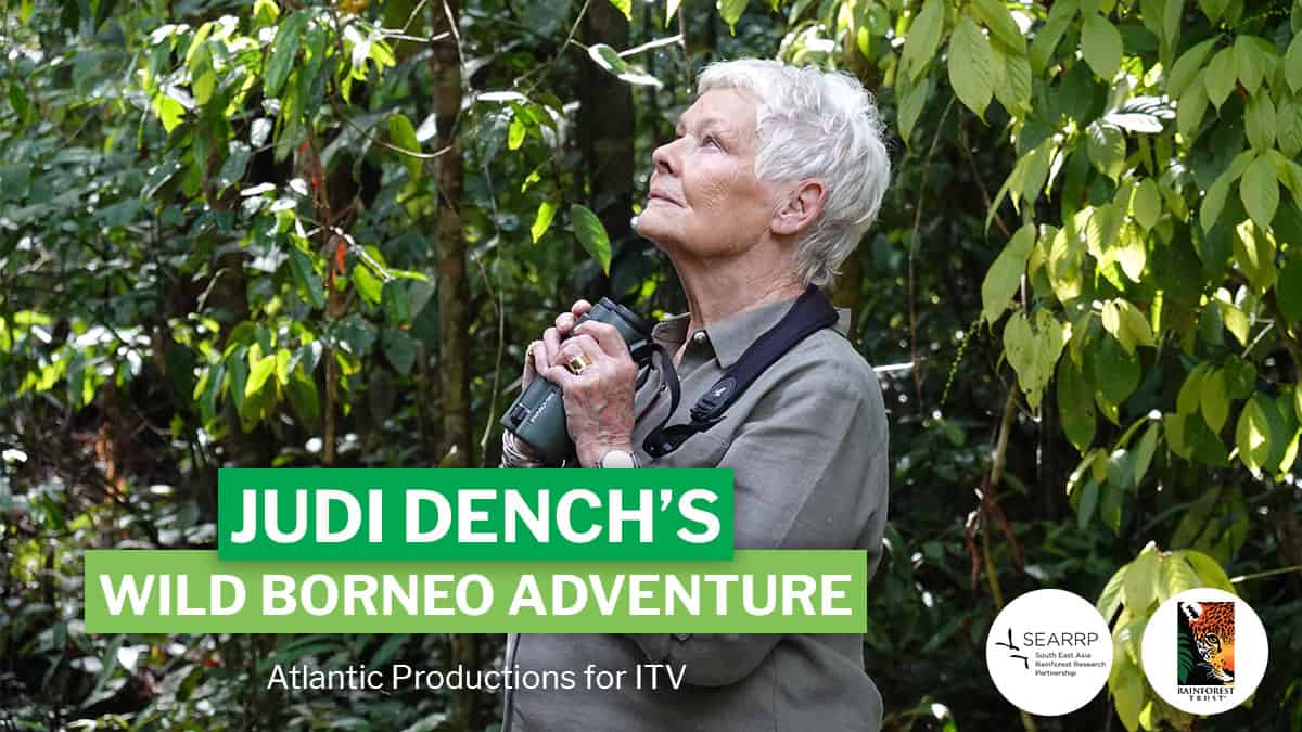 Judi Dench in Borneo